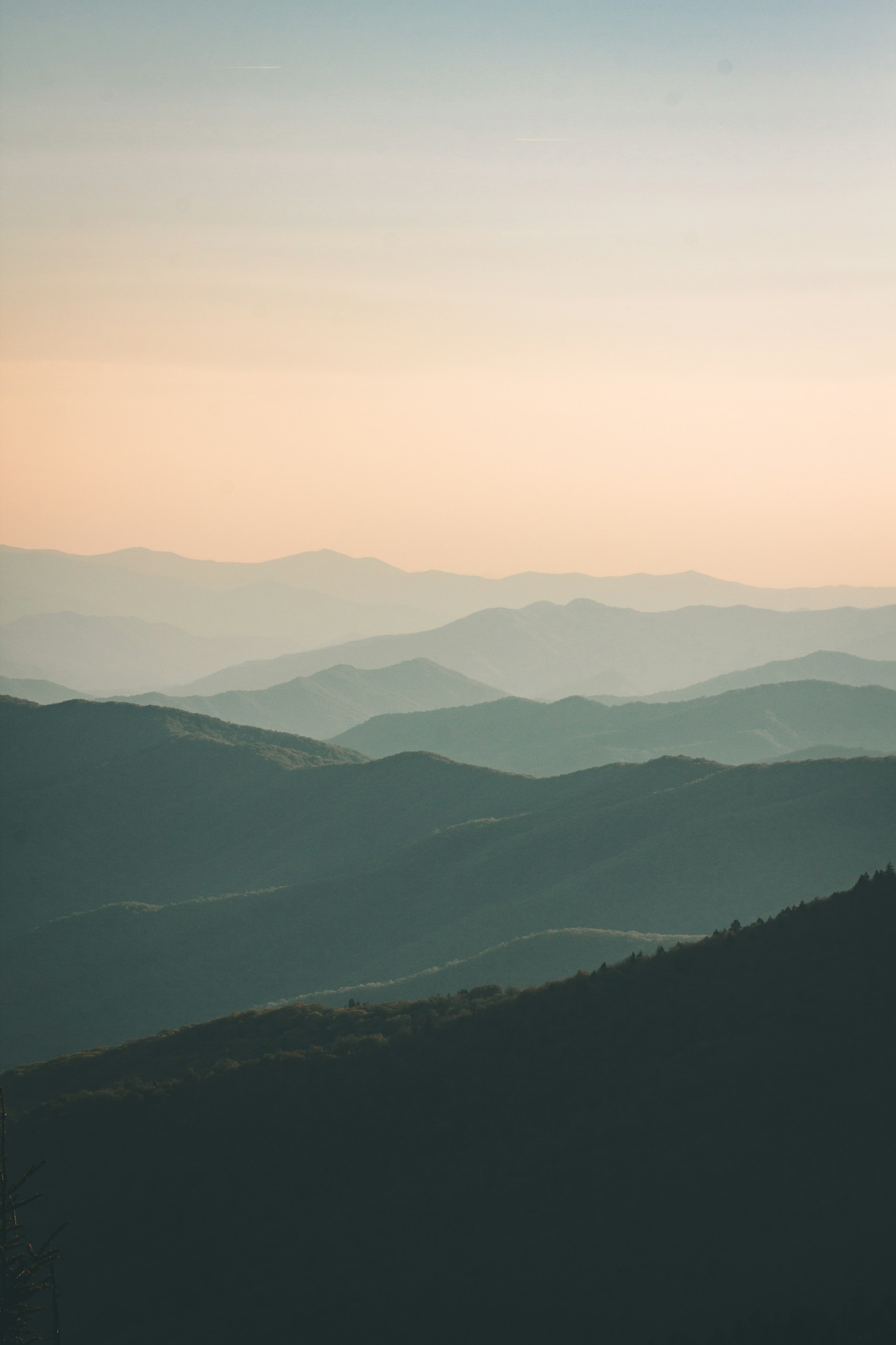 Resilient landscape and environmental conditions representing climate adaptation intelligence.